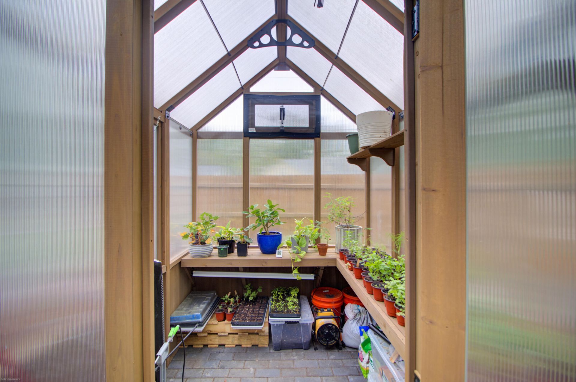 3623 Marshfield Road Photo 41