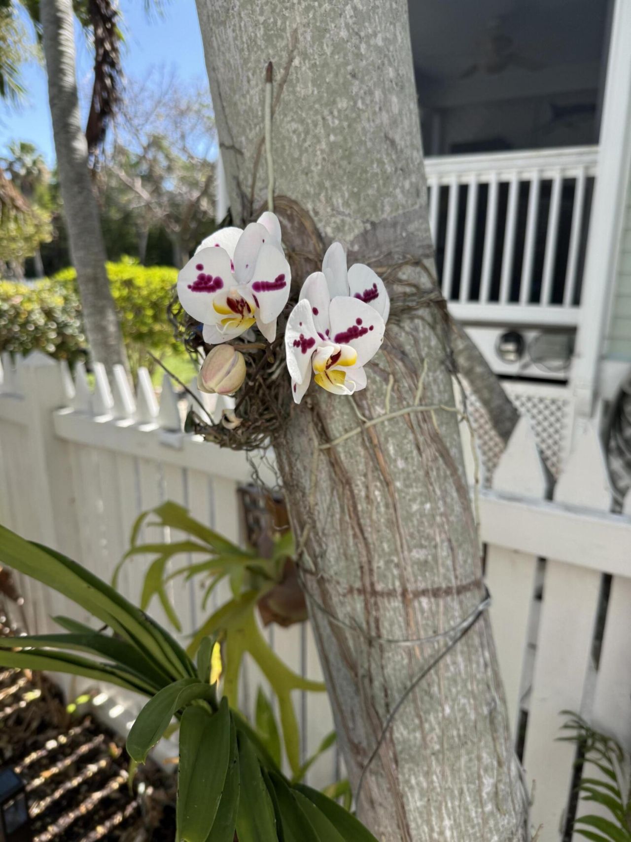 81 Golf Club Drive, Key West, FL 33040 Photo