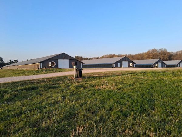 3843 Co Rd 343, Mt Hope, AL