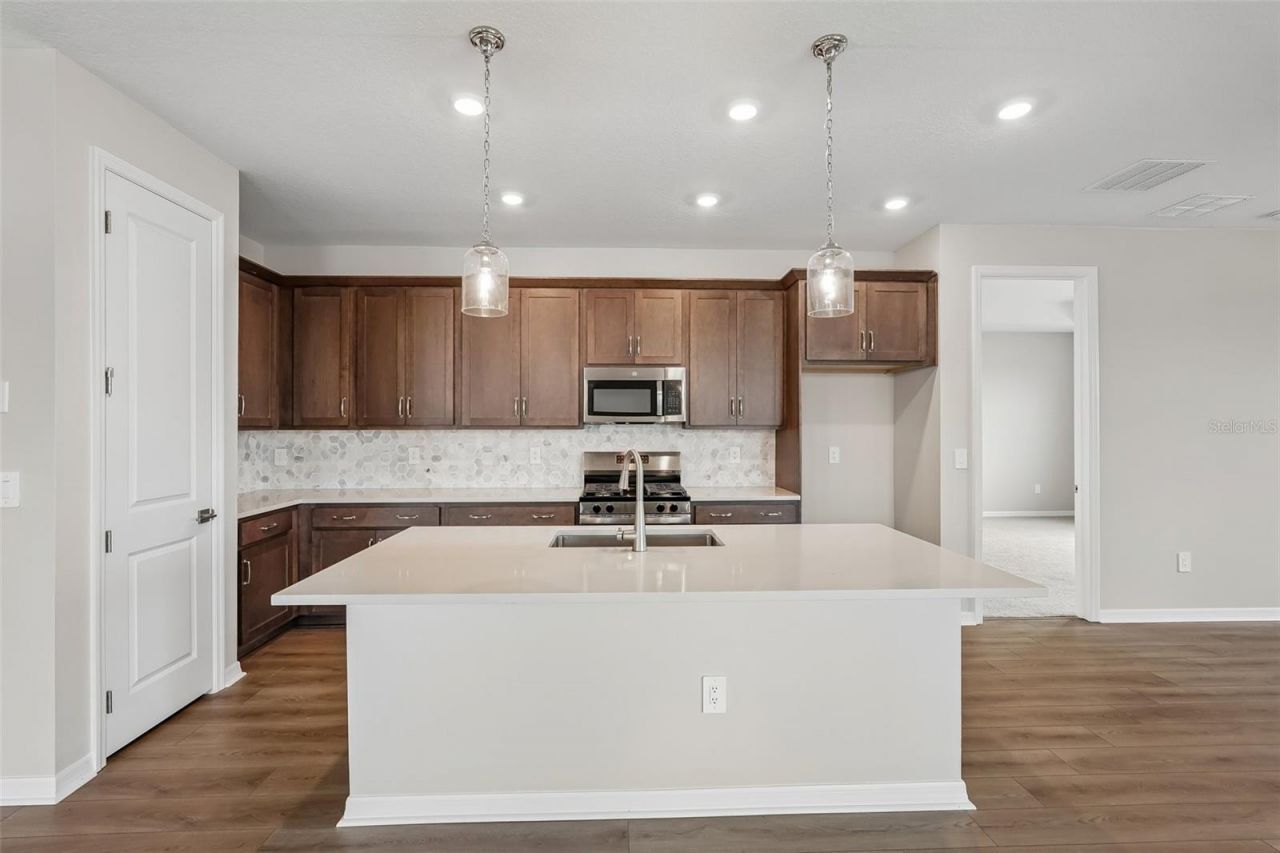 10155 Hidden Hammock Loop, Parrish, FL 34219 Photo