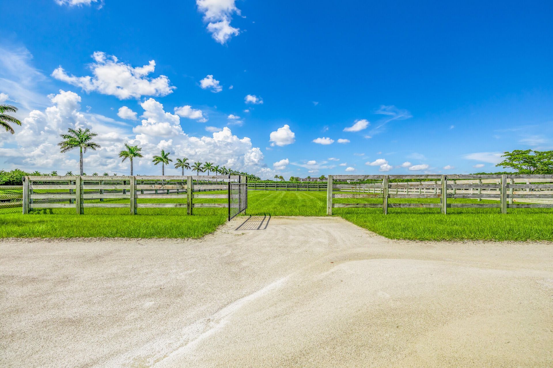 5181 Lasso Way, Wellington, FL 33449 Photo
