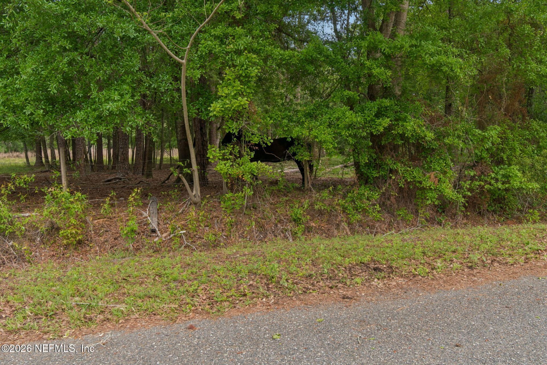 18098 Wells Road, Jacksonville, FL 32234 Photo