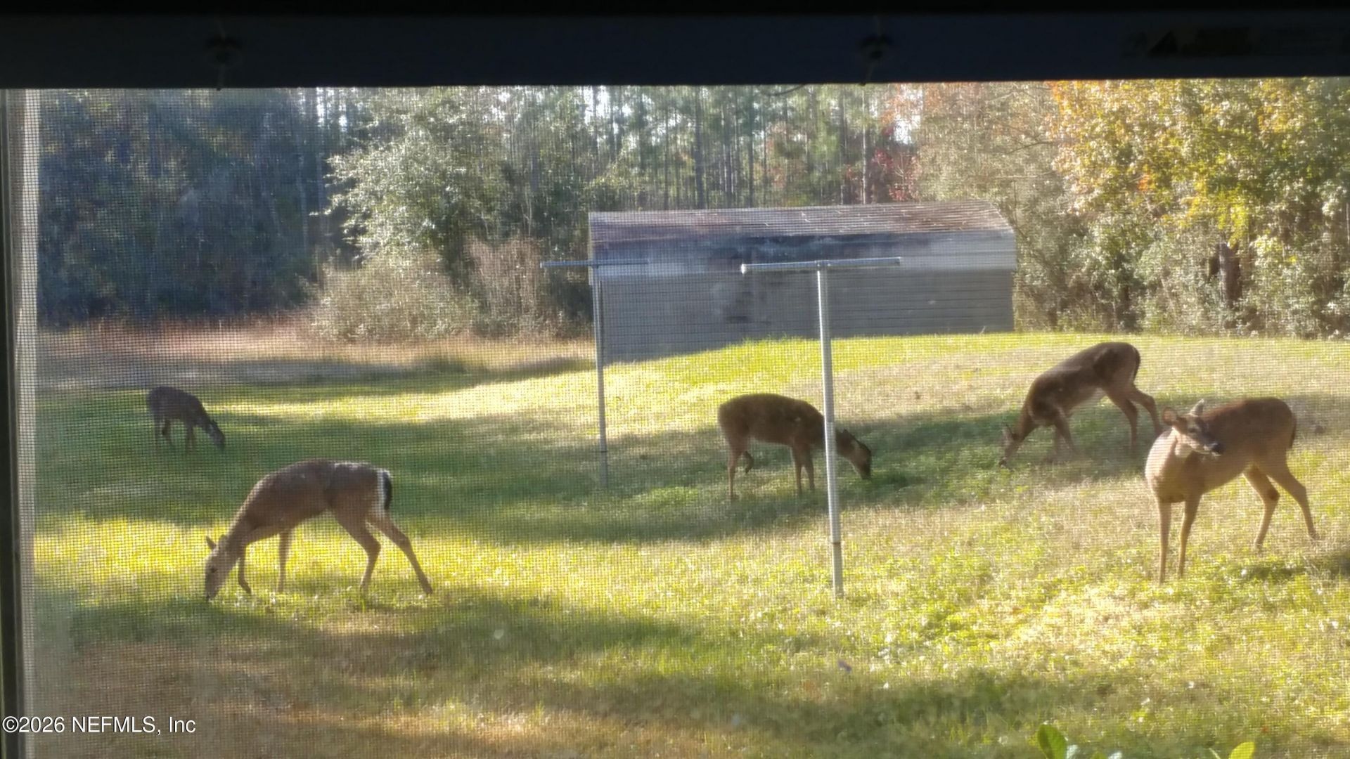 18098 Wells Road, Jacksonville, FL 32234 Photo