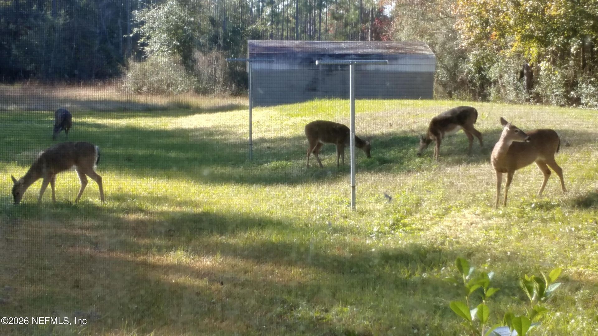 18098 Wells Road, Jacksonville, FL 32234 Photo