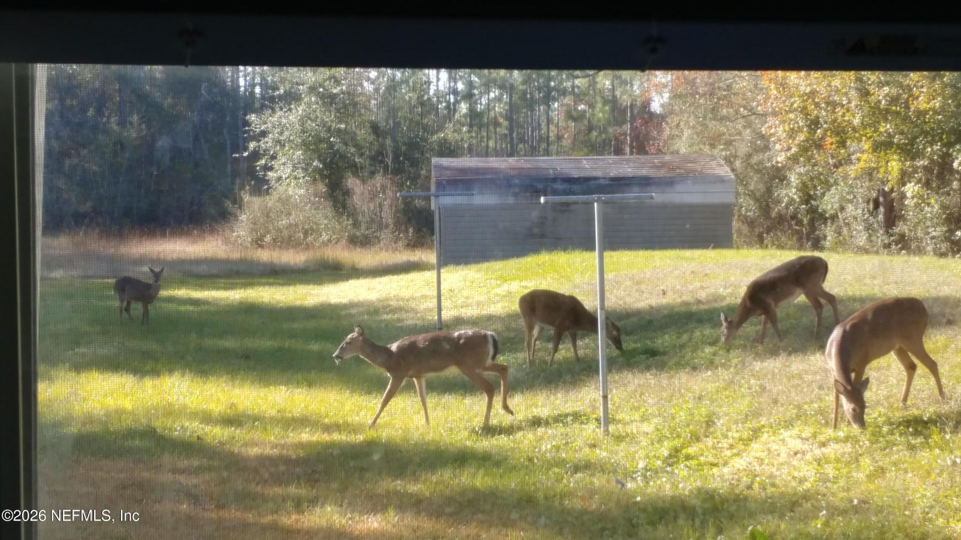 18098 Wells Road, Jacksonville, FL 32234 Photo