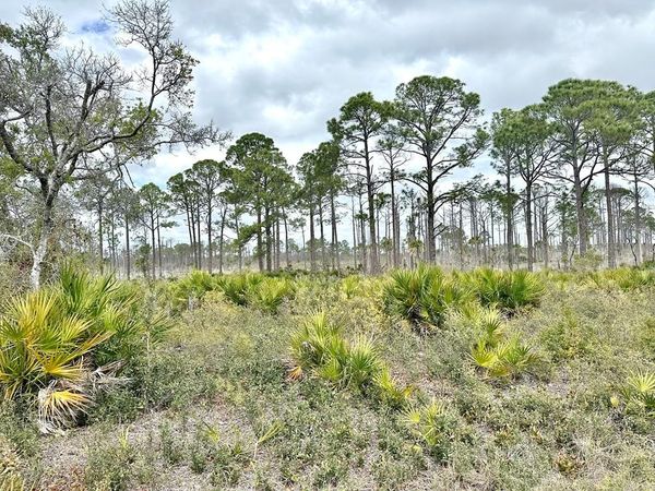 Lot 47 SW 100th Pl, Cedar Key, FL 32625