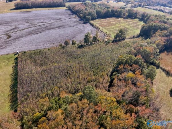 17.82 acres County Road 67, Lexington, AL 35648