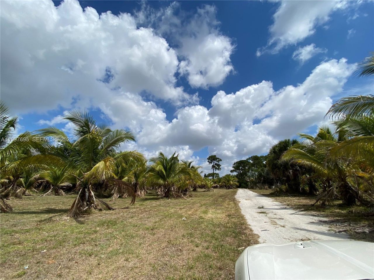 4411 Forest Hill Blvd , Palm Springs, FL 33406 Photo