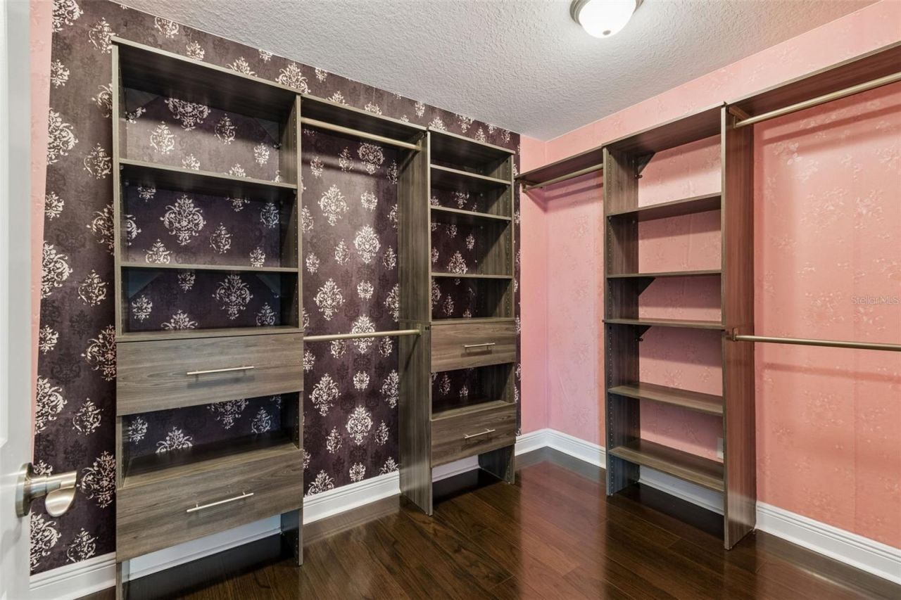 10316 Clover Pine Drive, Tampa, FL 33647 Photo