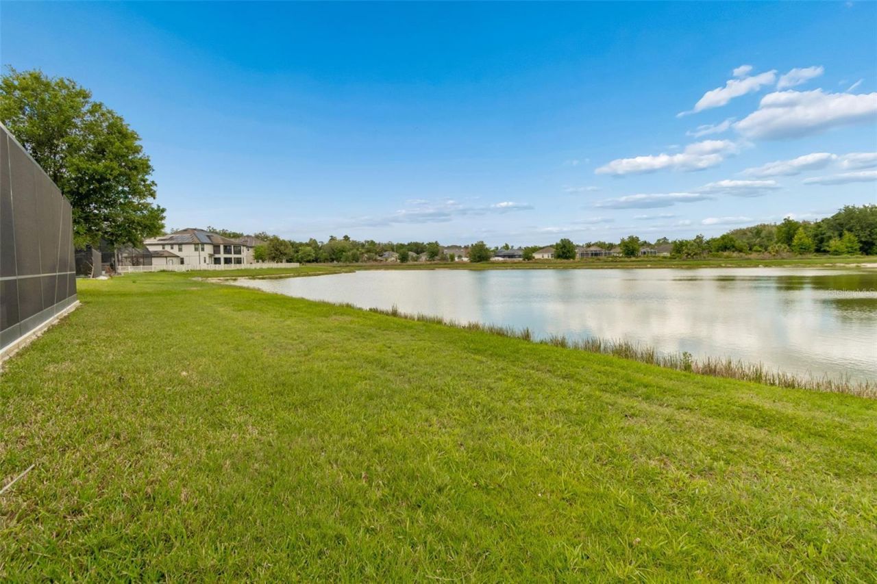 10316 Clover Pine Drive, Tampa, FL 33647 Photo