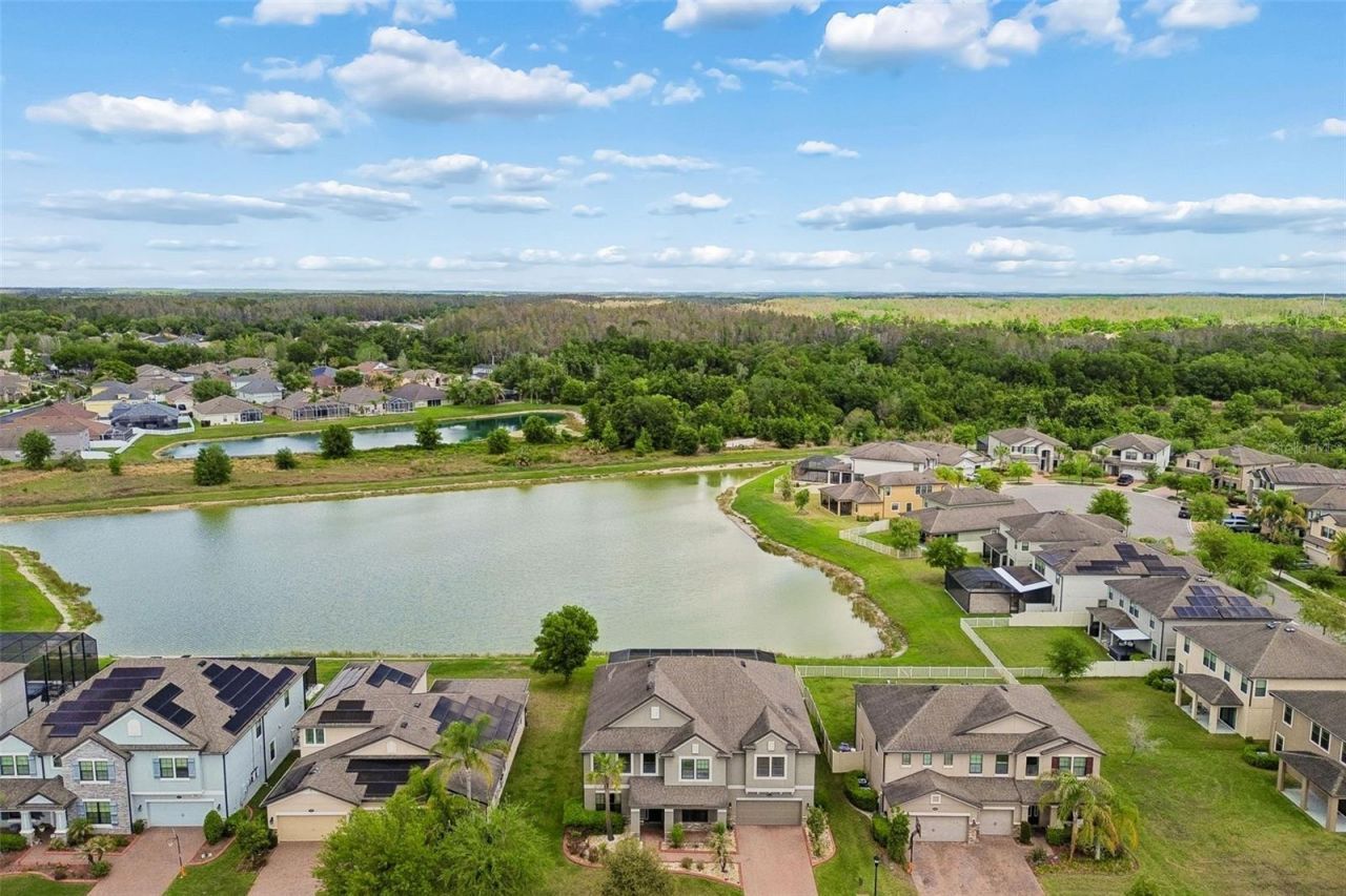 10316 Clover Pine Drive, Tampa, FL 33647 Photo