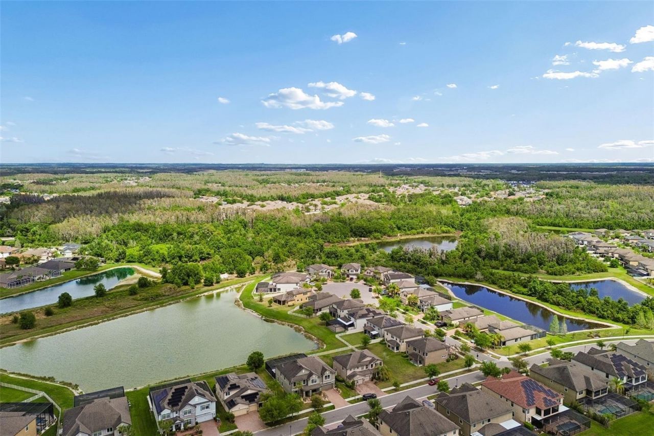 10316 Clover Pine Drive, Tampa, FL 33647 Photo