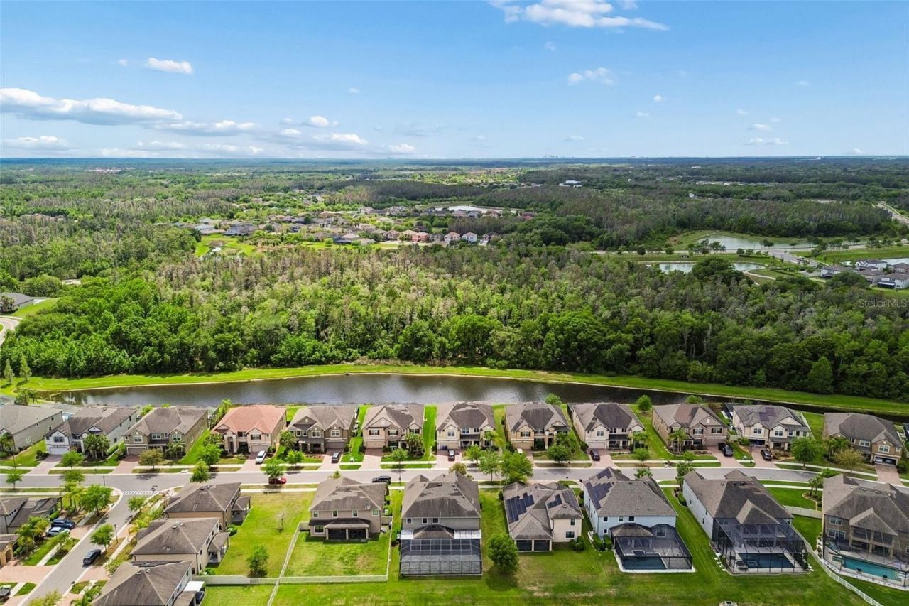 10316 Clover Pine Drive, Tampa, FL 33647 Photo