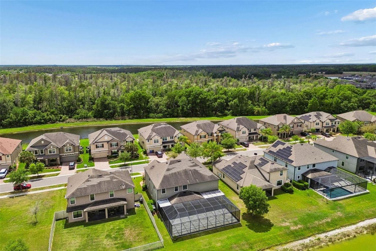 10316 Clover Pine Drive, Tampa, FL 33647 Photo