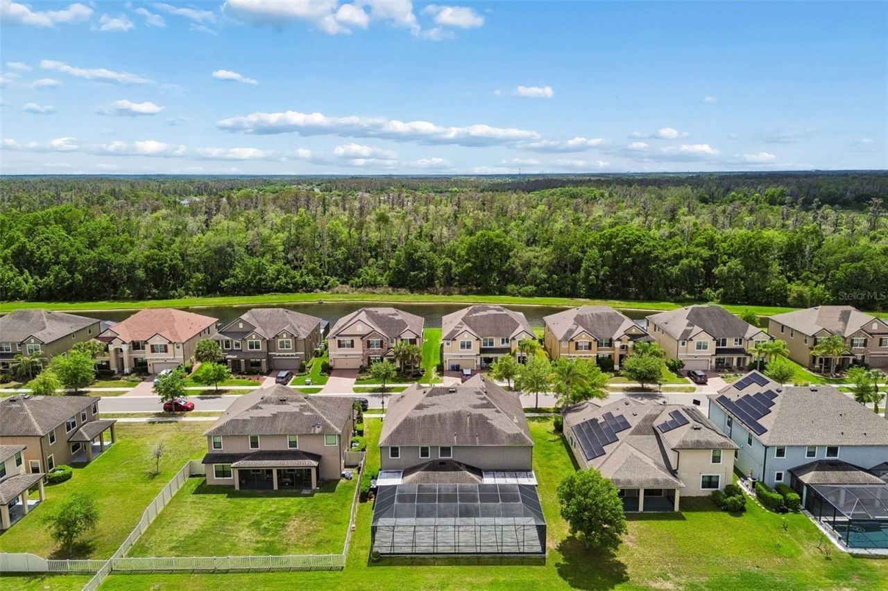 10316 Clover Pine Drive, Tampa, FL 33647 Photo