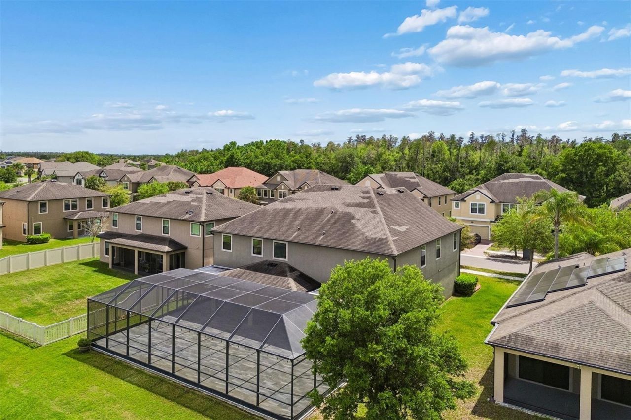 10316 Clover Pine Drive, Tampa, FL 33647 Photo