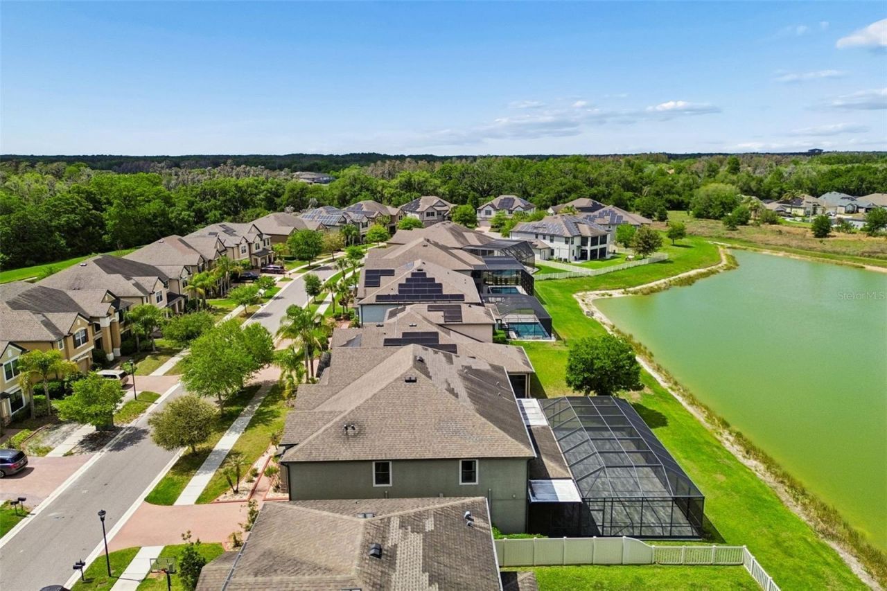 10316 Clover Pine Drive, Tampa, FL 33647 Photo