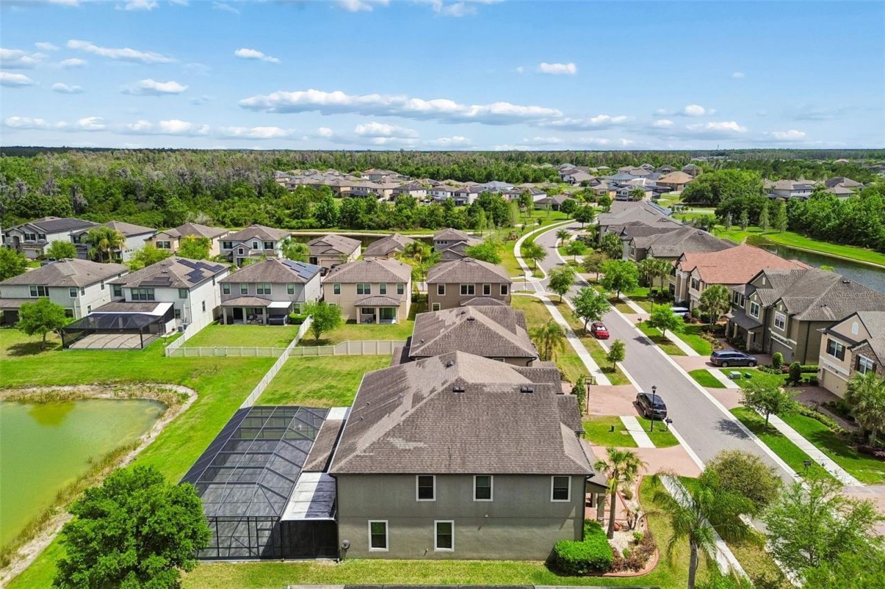 10316 Clover Pine Drive, Tampa, FL 33647 Photo