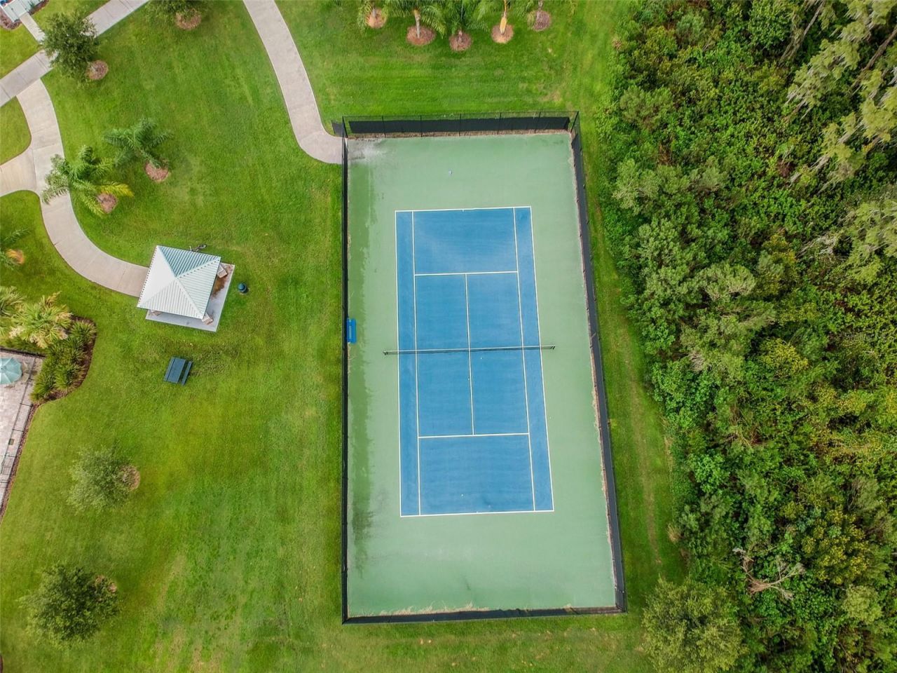 10316 Clover Pine Drive, Tampa, FL 33647 Photo