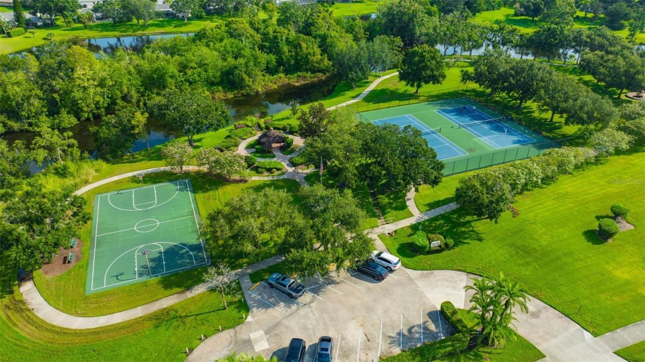 13313 Golf Crest Circle, Tampa, FL 33618 Photo