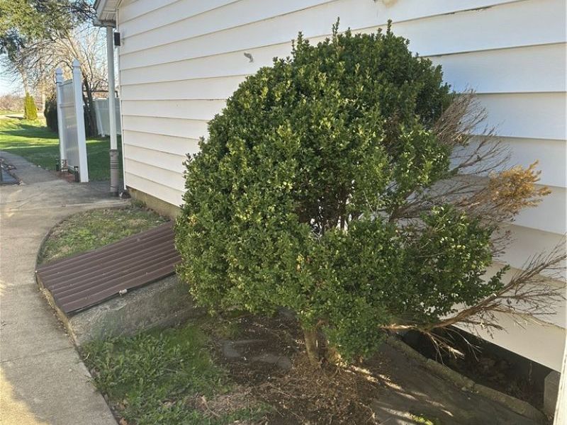 207 South Sycamore, Woodsfield, OH 43793 Photo 7