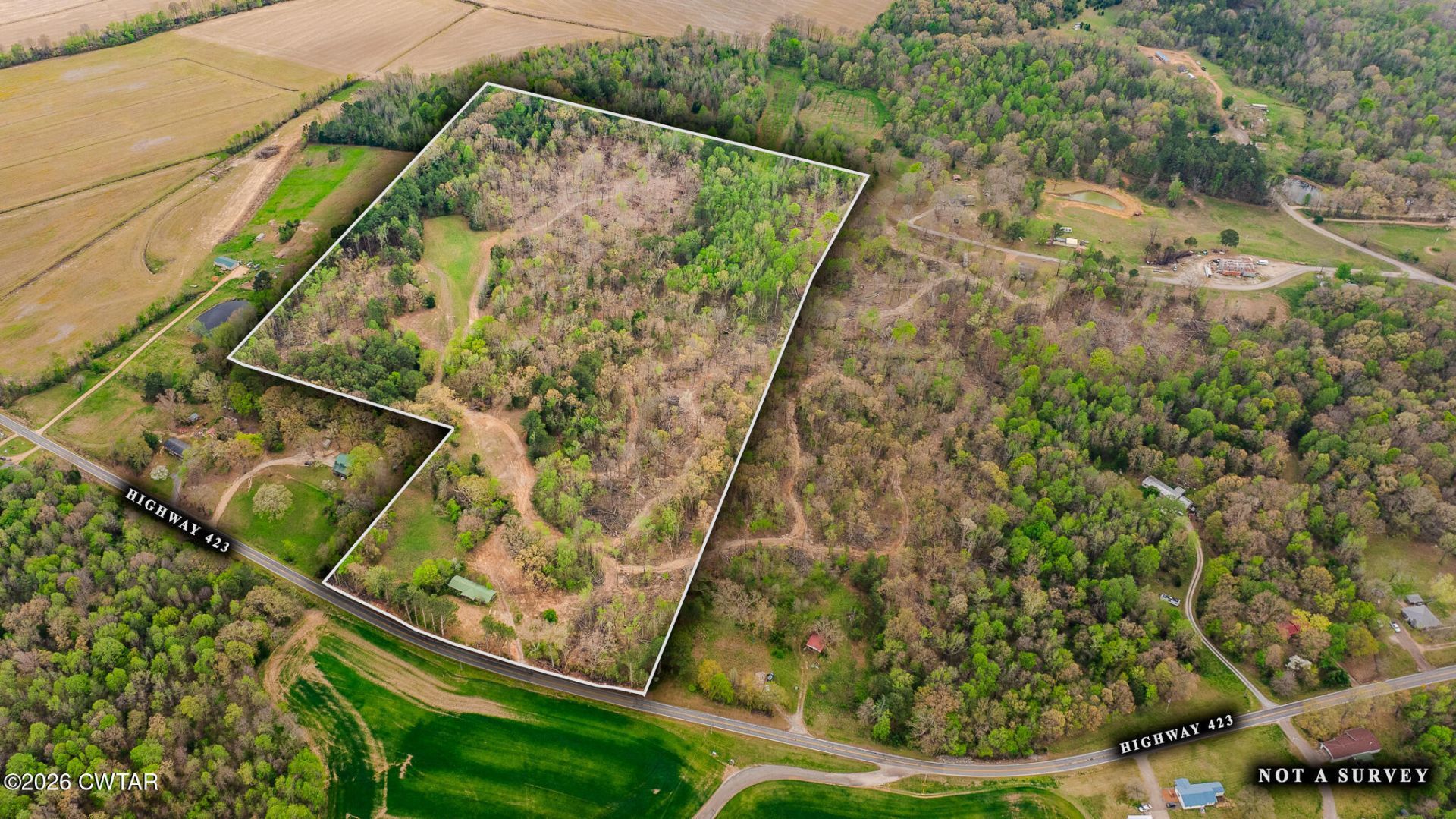 7050 Highway 423, Mc Kenzie, TN 38201 Main Photo