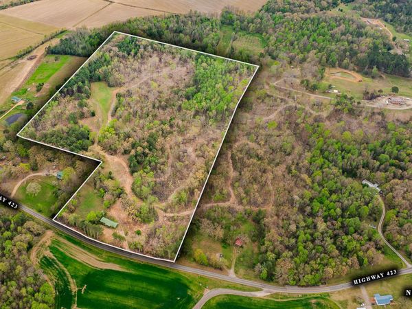 7050 Highway 423 , McKenzie, TN 38201