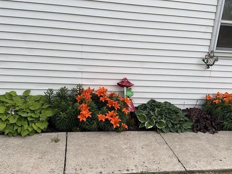 5005 S Twp Rd 1159, Alvada, OH 44802 Photo 40