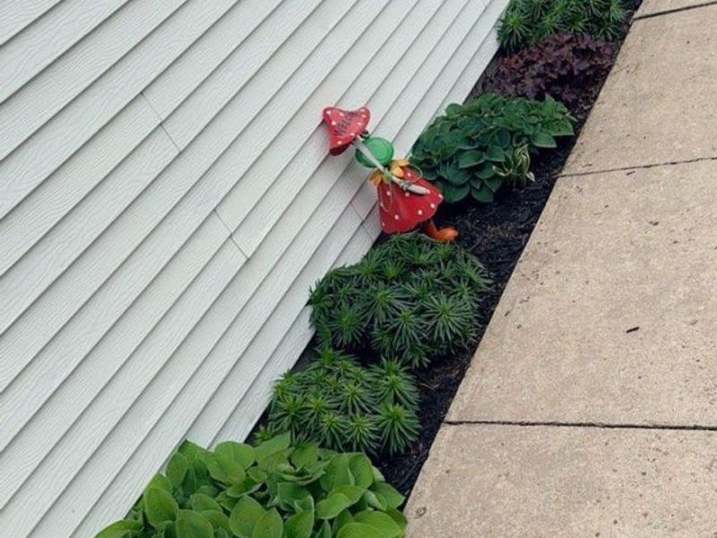 5005 S Twp Rd 1159, Alvada, OH 44802 Photo 41