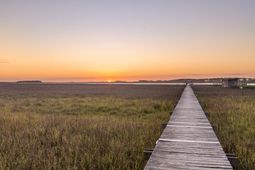 1024 W Ashley Avenue photo 4