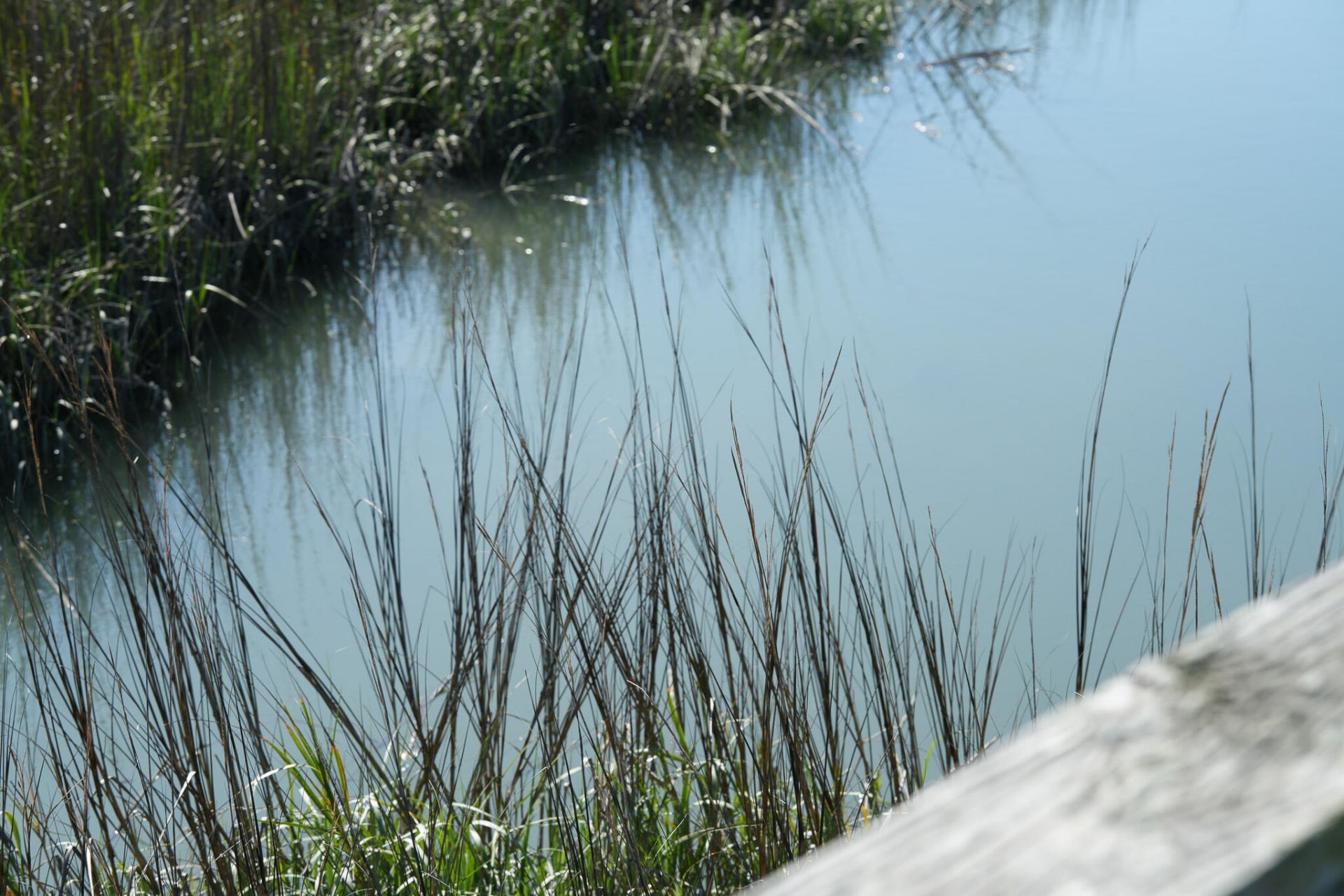 1024 W Ashley Avenue Photo 72