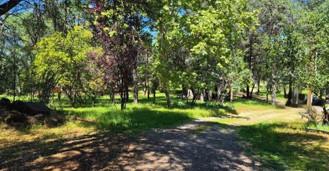 9568 Sheep Ranch Rd, Mountain Ranch, CA 95246 Photo