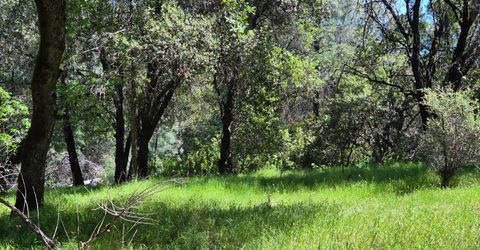 9568 Sheep Ranch Rd, Mountain Ranch, CA 95246 Photo