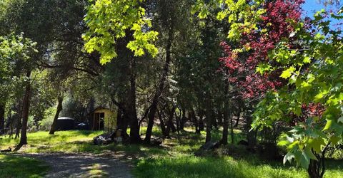 9568 Sheep Ranch Rd, Mountain Ranch, CA 95246 Photo