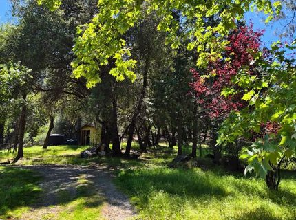9568 Sheep Ranch Rd, Mountain Ranch, CA 95246 Photo