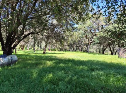 9568 Sheep Ranch Rd, Mountain Ranch, CA 95246 Photo