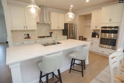 3003 Snail Seed Trail S photo 4