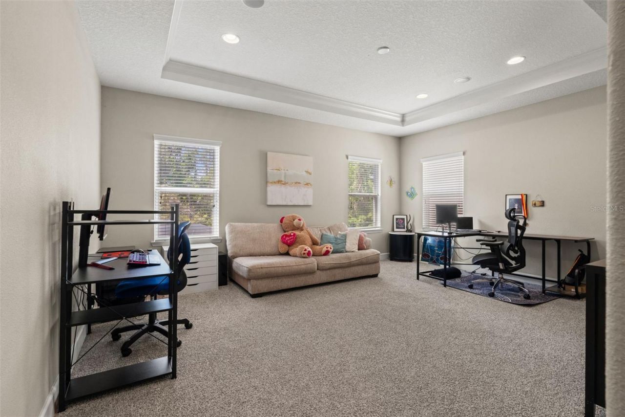 8853 Bella Vita Circle , Land O Lakes, FL 34637 Photo