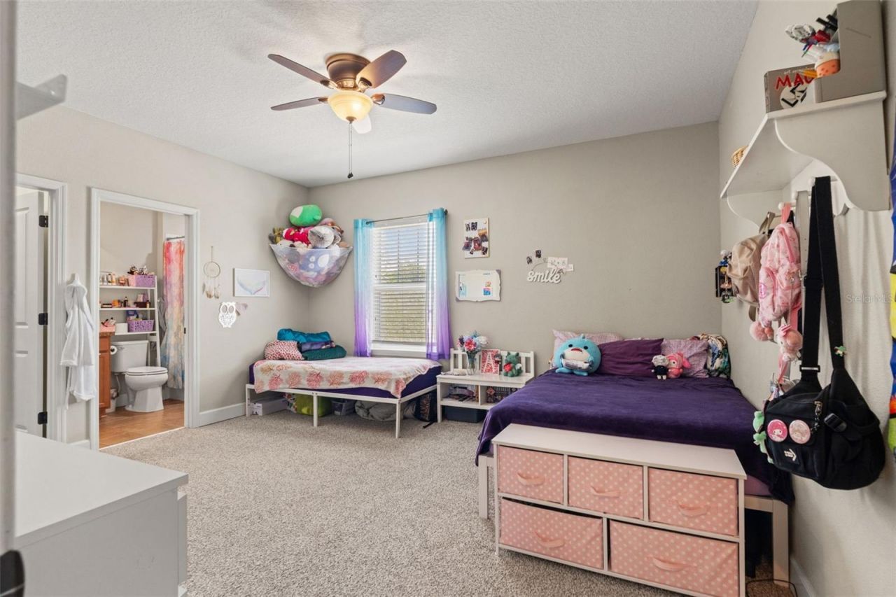 8853 Bella Vita Circle , Land O Lakes, FL 34637 Photo