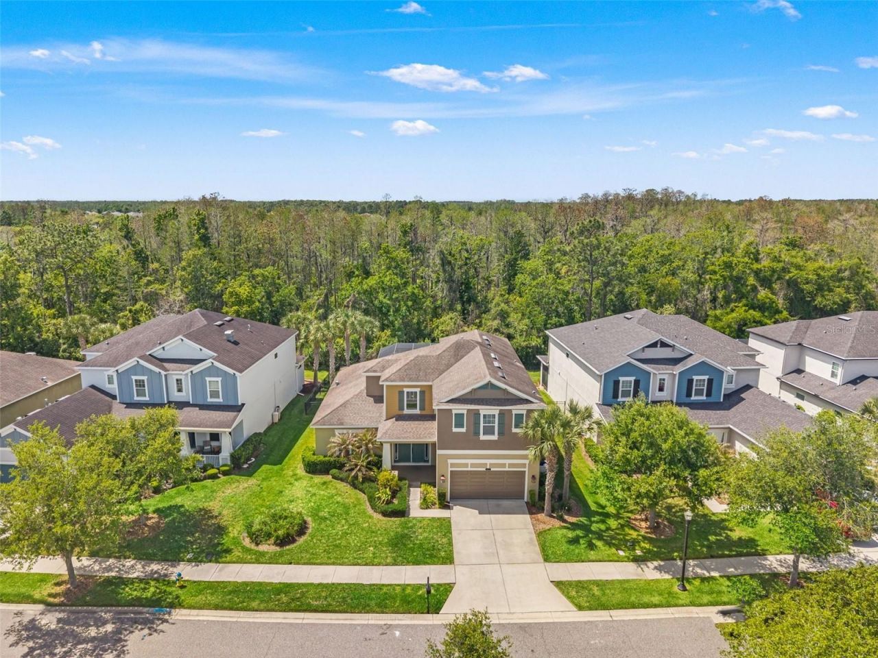 8853 Bella Vita Circle , Land O Lakes, FL 34637 Photo