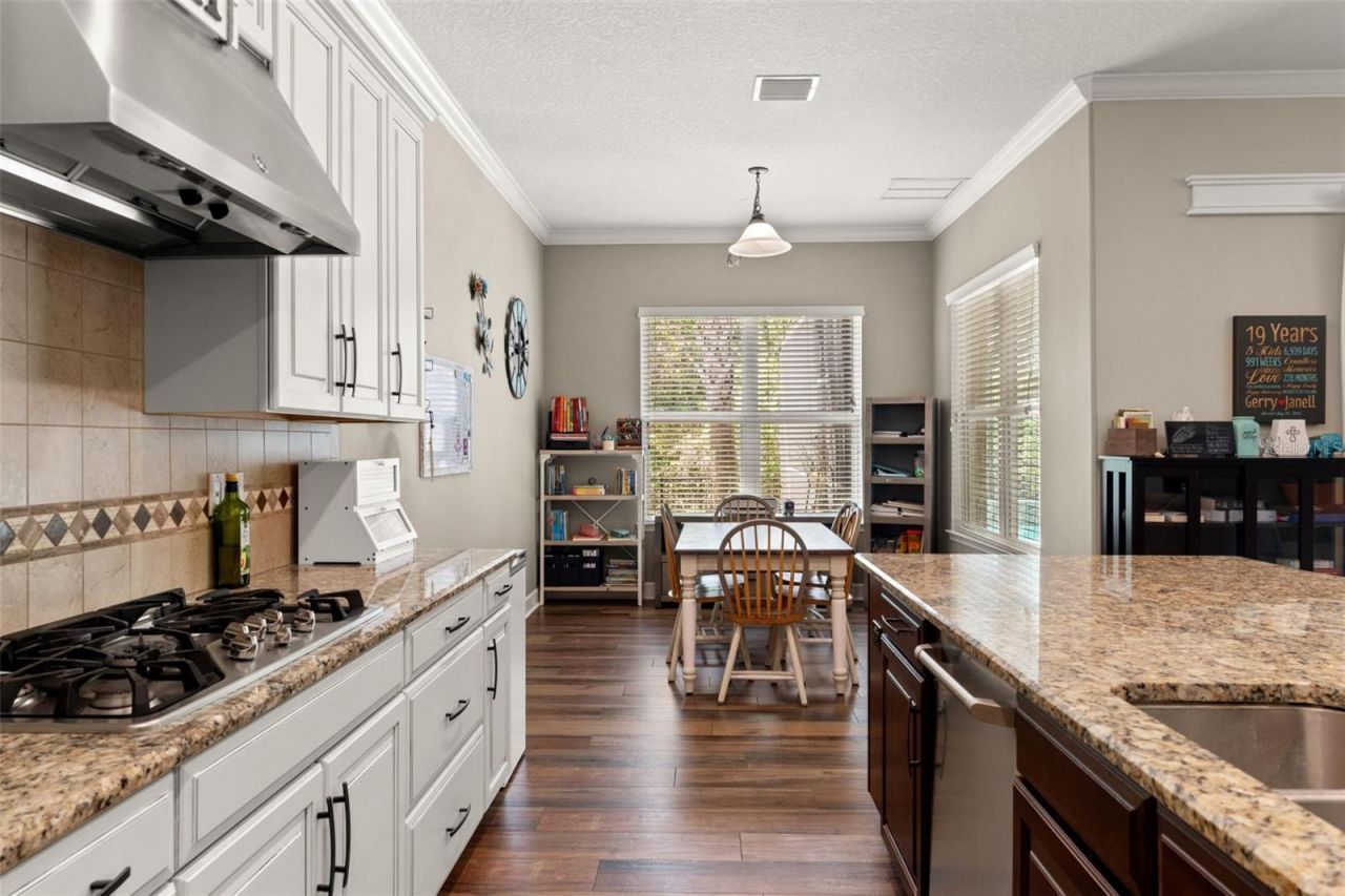 8853 Bella Vita Circle , Land O Lakes, FL 34637 Photo