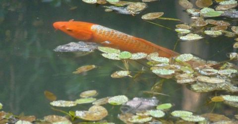 14138 La Porte Rd, Strawberry Valley, CA 95981 Photo