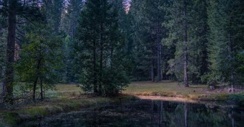 14138 La Porte Rd, Strawberry Valley, CA 95981 Photo