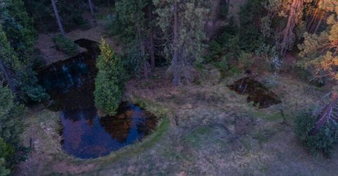 14138 La Porte Rd, Strawberry Valley, CA 95981 Photo