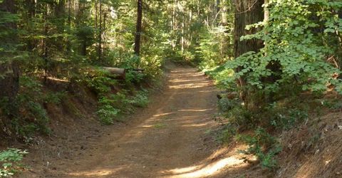 14138 La Porte Rd, Strawberry Valley, CA 95981 Photo