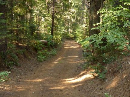 14138 La Porte Rd, Strawberry Valley, CA 95981 Photo