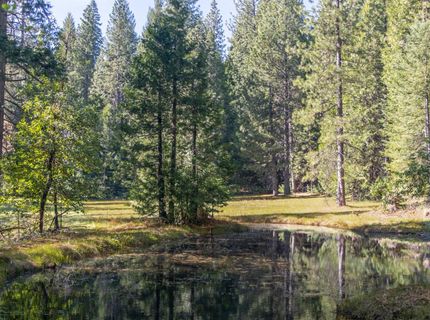 14138 La Porte Rd, Strawberry Valley, CA 95981 Photo