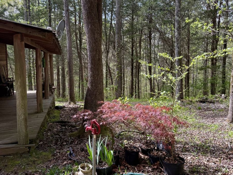 Property Image 53