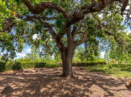 4108 Tahoe Vista Dr, Rocklin, CA 95765 Photo
