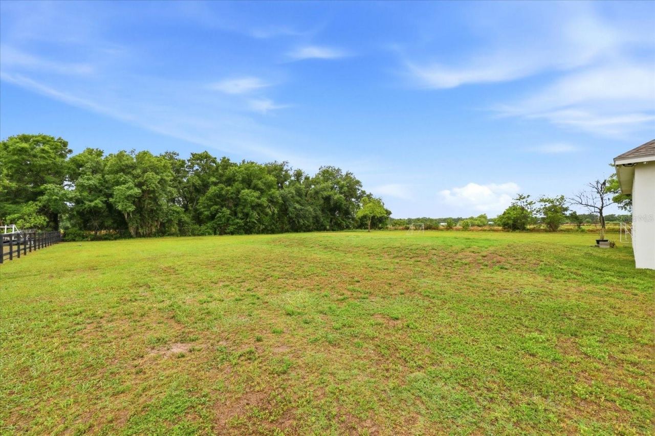 8459 Harvey Walden Drive, Plant City, FL 33565 Photo